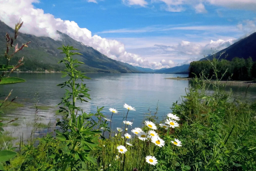 Arrow Lake BC mountain scenery