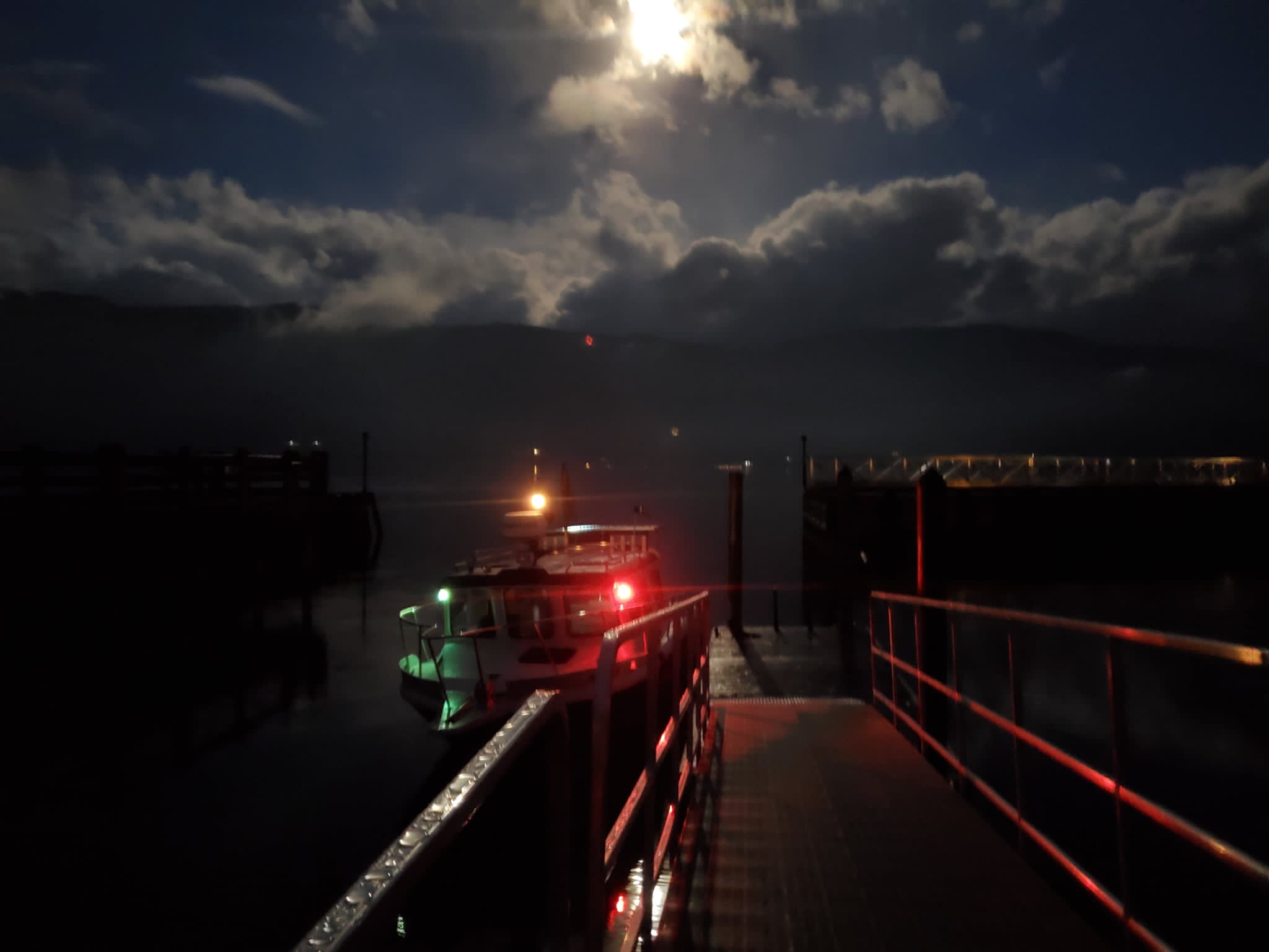 Kingfisher at the dock under moonlight