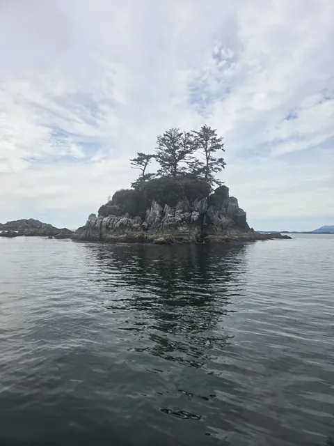 Tree-topped rocky island on calm coastal water