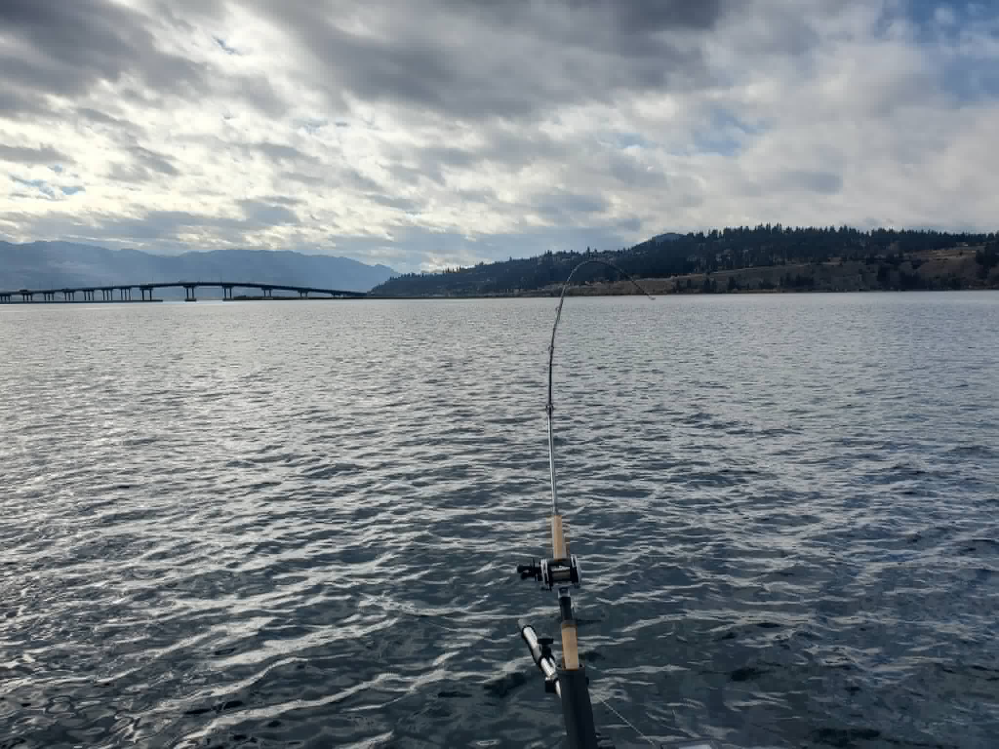 Rod bent on Okanagan Lake near the Kelowna bridge