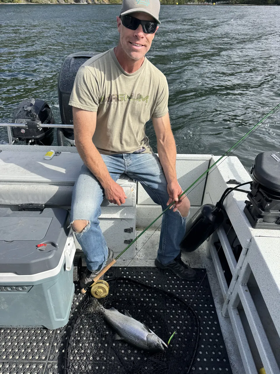 Salmon in the net