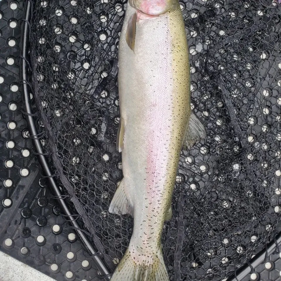 Outdoor Adventures BC fishing charter photo
