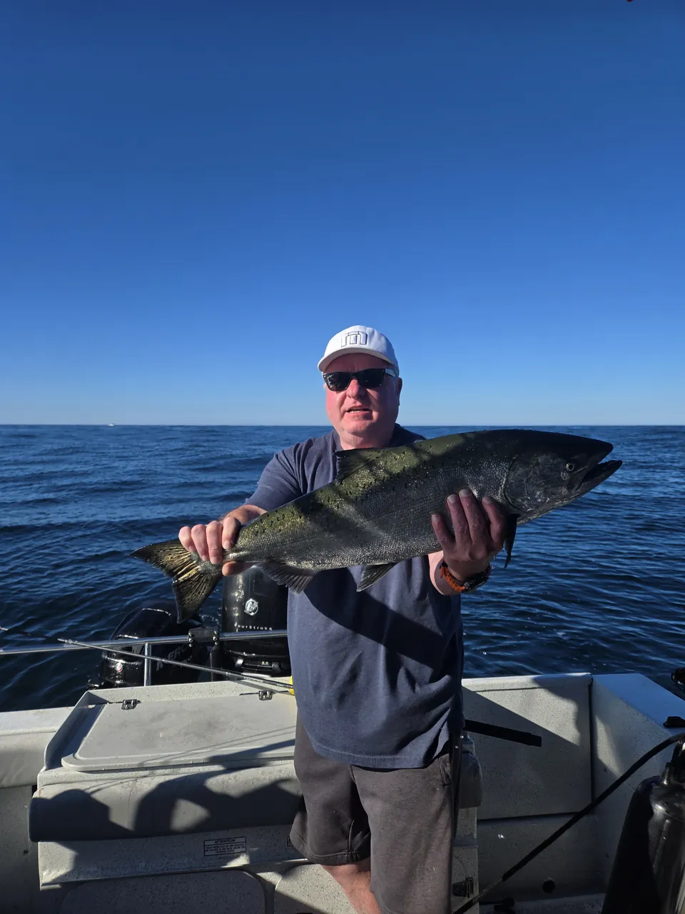 Big chinook salmon on the open Pacific