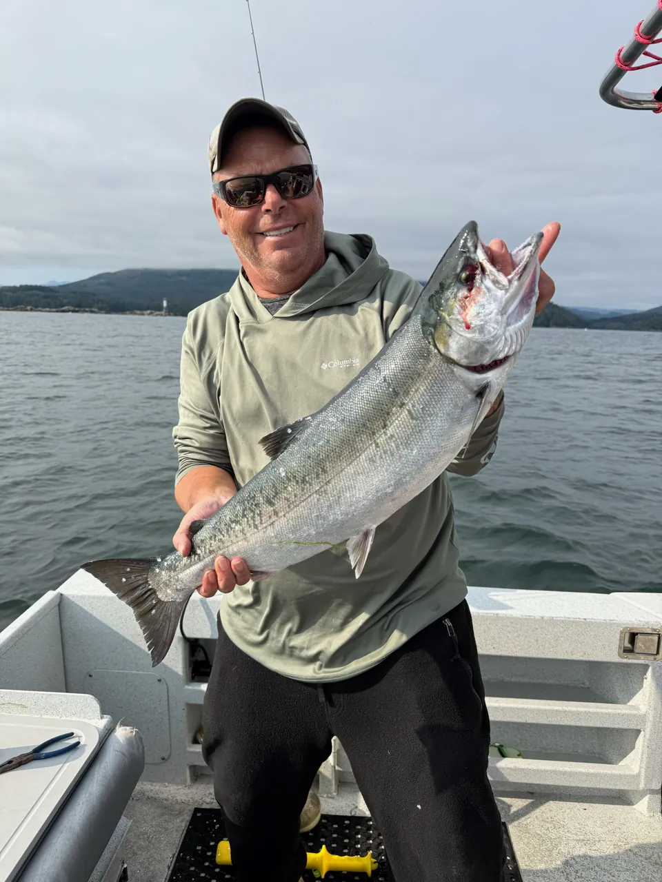 Salmon with the coastline behind