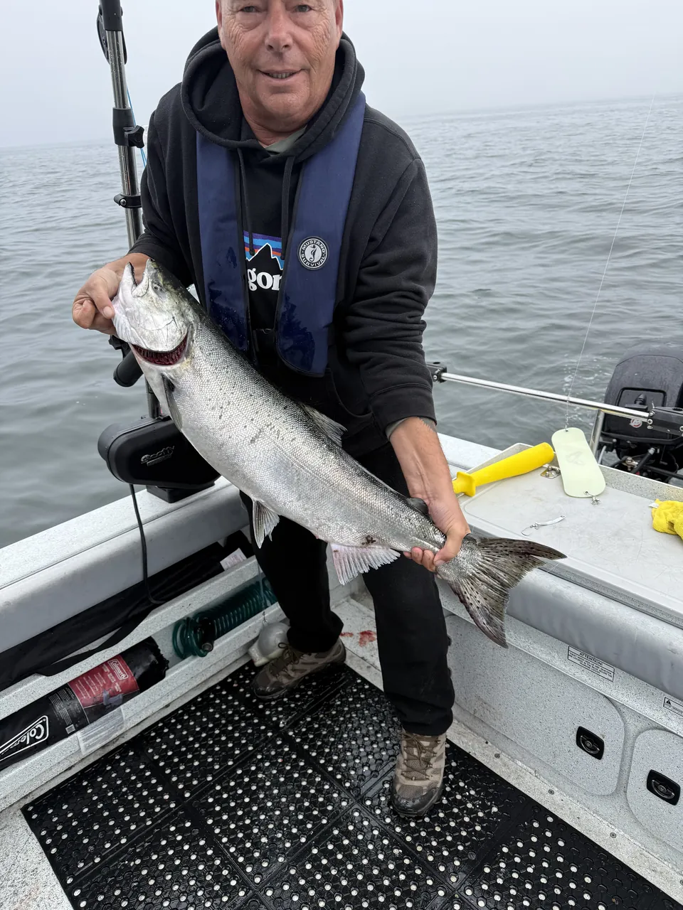 Salmon on a grey coast morning