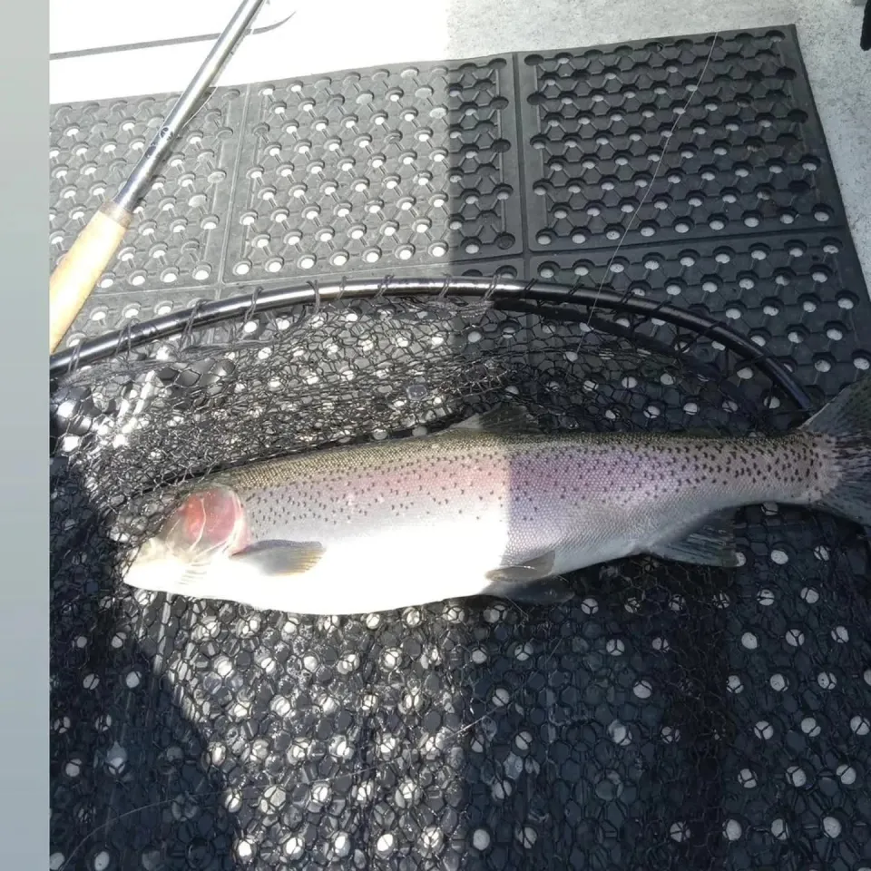 Outdoor Adventures BC fishing charter photo