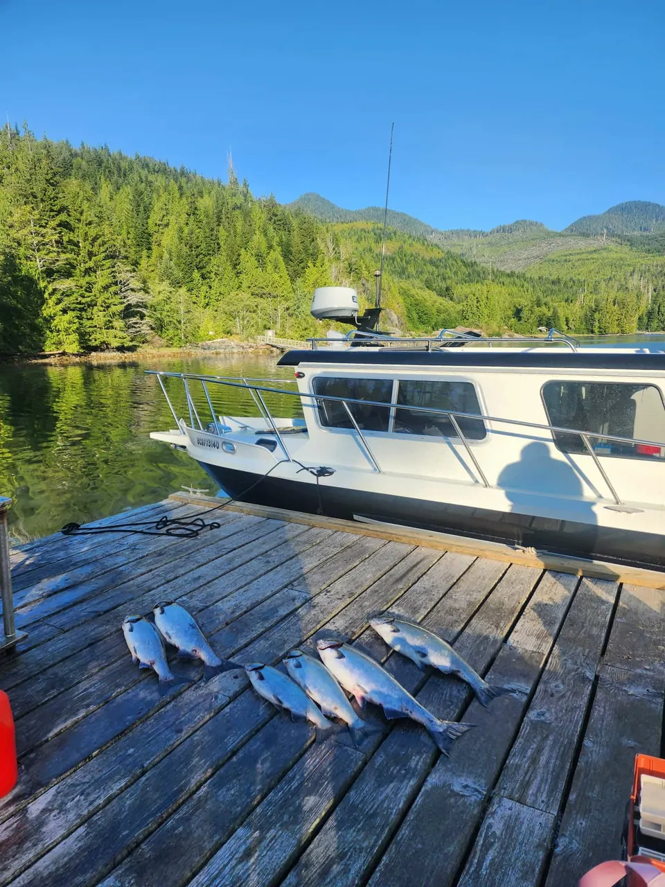 The day's catch laid out on the dock